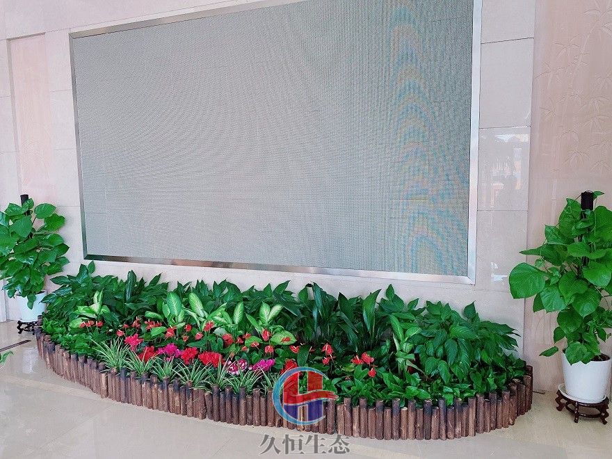 宁波鄞州企业大厅显示屏组合花卉绿植摆放